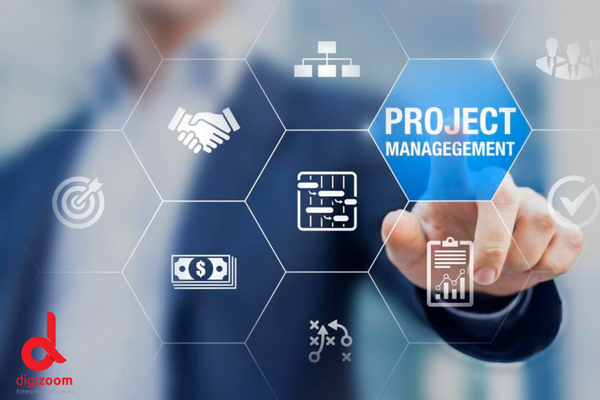 Digizoom Project Management and IT Governance
